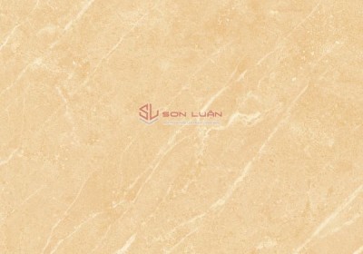 Gạch ốp lát  APODIO 88262001